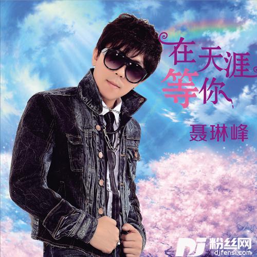 在天涯等你DJ版