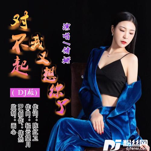 对不起我又想你了DJ版