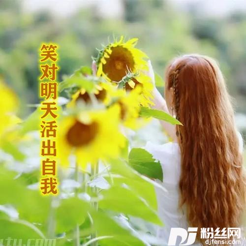 笑对明天活出自我DJ