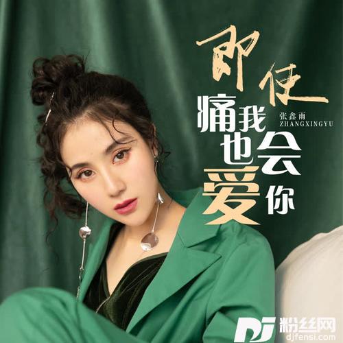 即使痛我也会爱你DJ沈念版