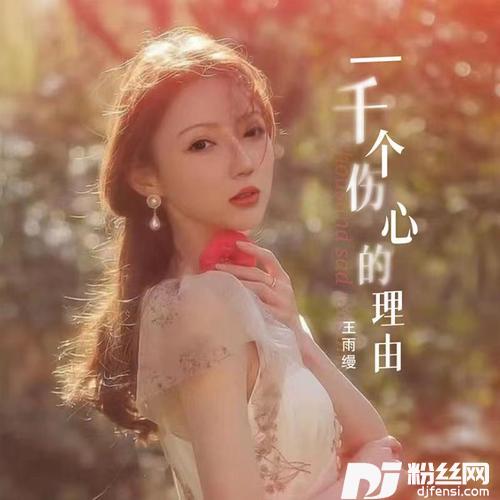 一千个伤心的理由DJ京仔版