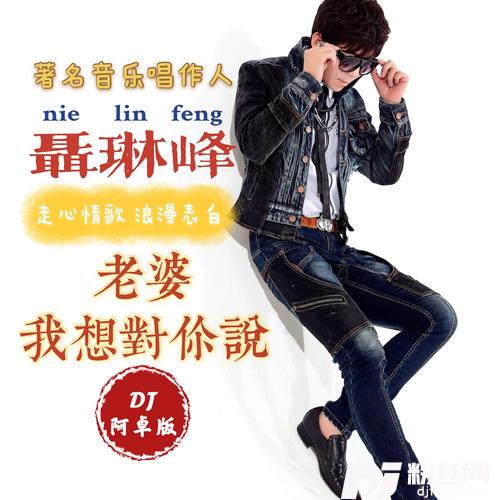 老婆我想对你说DJ阿卓版的专辑