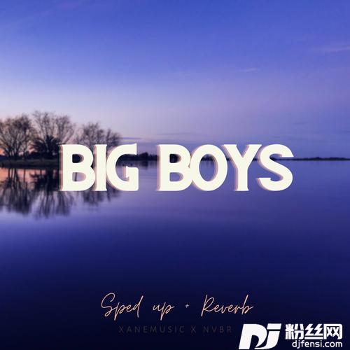 BigBoysspedup+reverb
