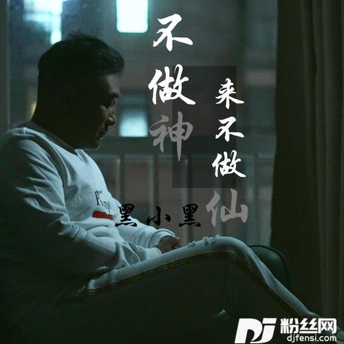 不做神来不做仙DJ默涵版