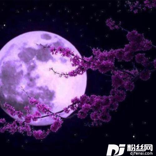 孤傲如冰cover:楽半湾的专辑