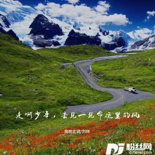 走啊少年去见一见命运里的风