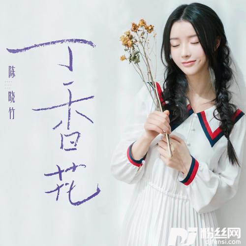 丁香花天籁版