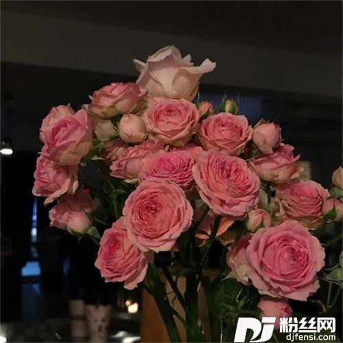 赐我一场相爱女声版的专辑