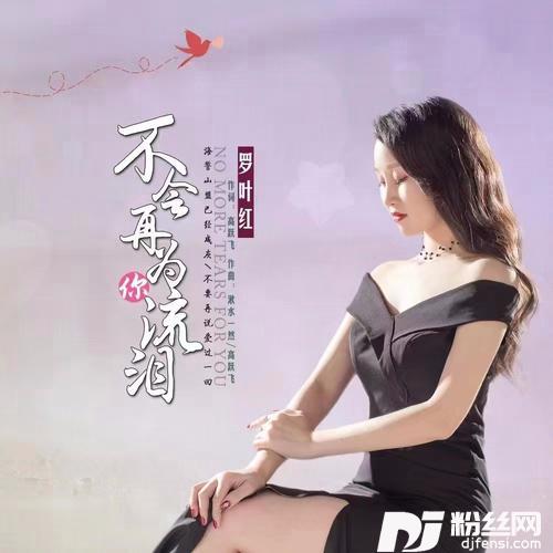 不会再为你流泪的专辑