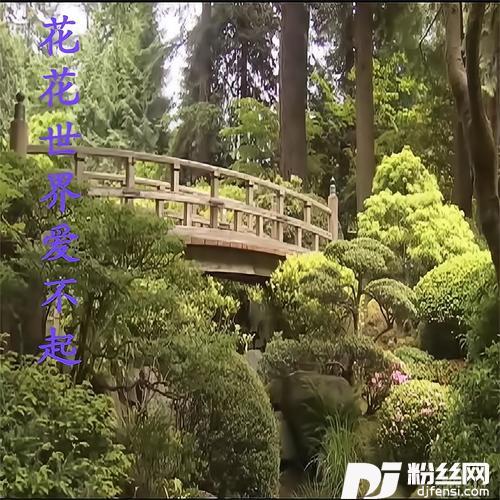 男人不坏女人不爱
