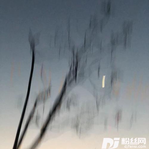 都不容易的专辑