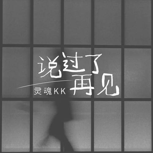 说过了再见DJ京仔版