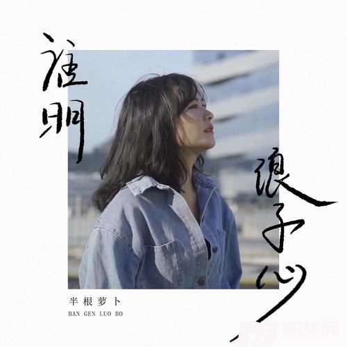 谁明浪子心DJ小蒋版的专辑