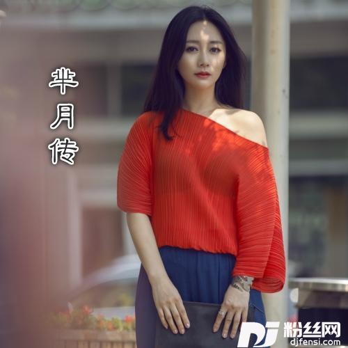 芈月传DJ何鹏版