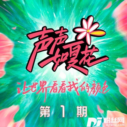 夏天的花