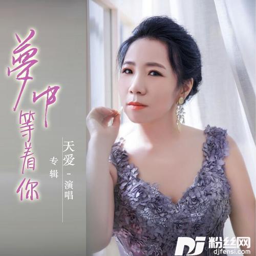 梦中等着你