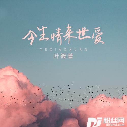 今生情来世爱DJ默涵版