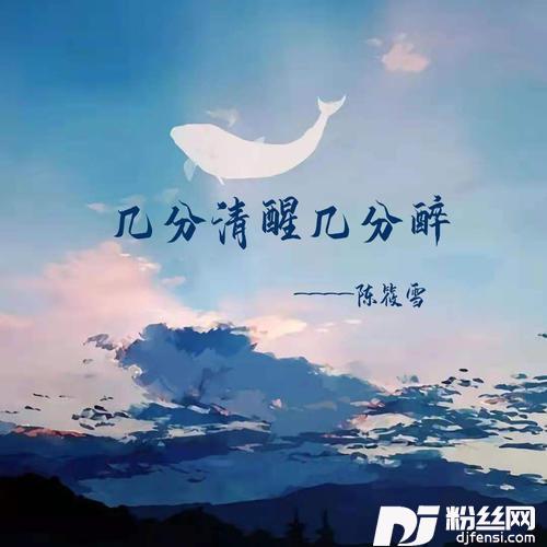 几分清醒几分醉DJ童波版
