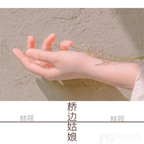 桥边姑娘的专辑