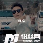 雅痞