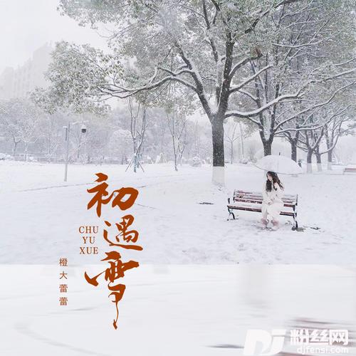 初遇雪