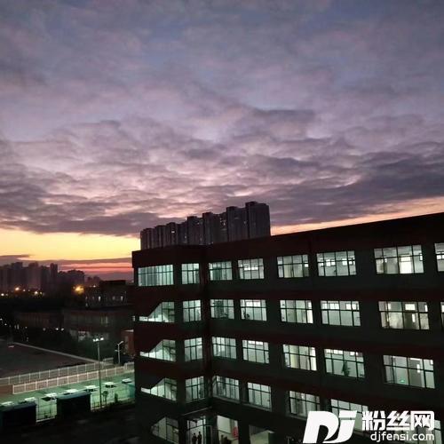 写给爸妈的歌