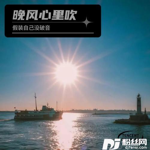 晚风心里吹cover:阿梨粤