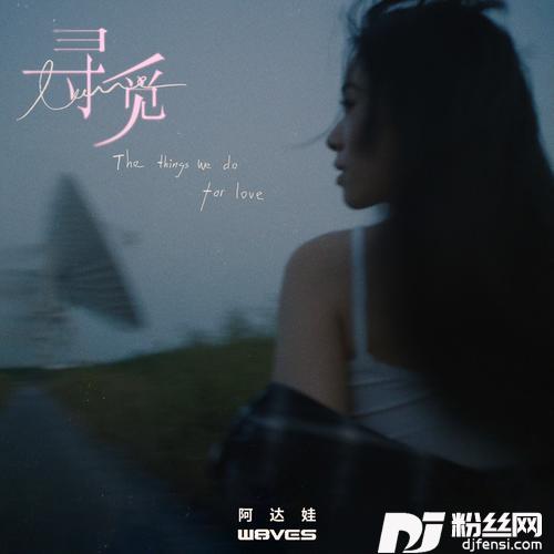 寻觅的专辑