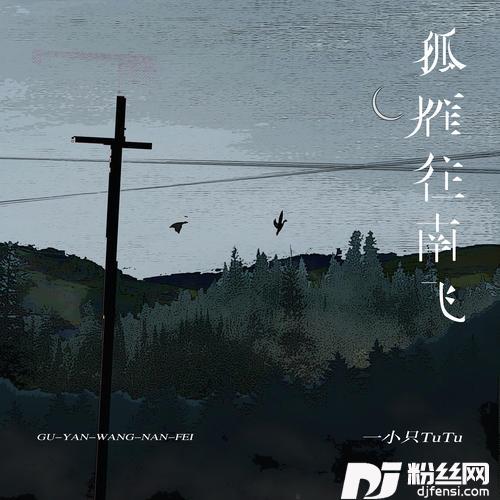 孤雁往南飞