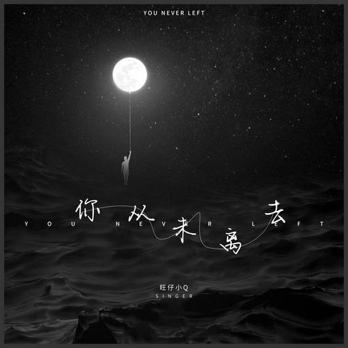 你从未离去女生版的专辑