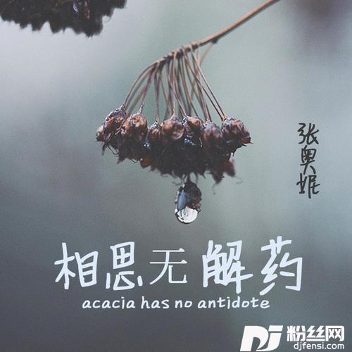 相思无解药