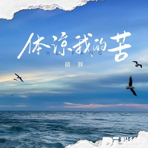 体谅我的苦