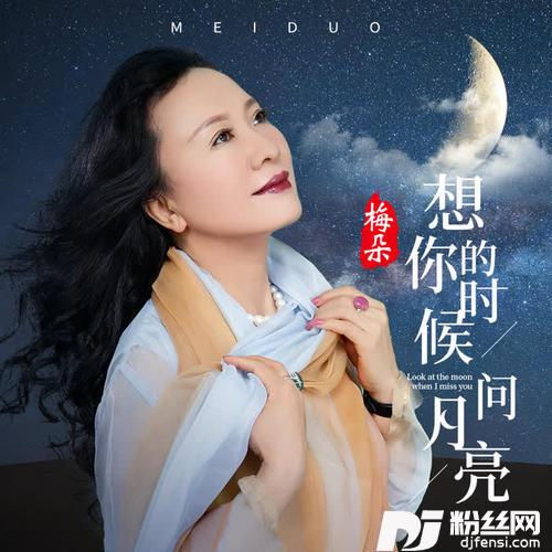 想你的时候问月亮