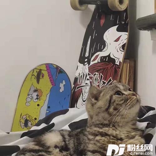 永远的专辑
