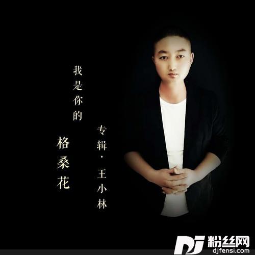 我是你的格桑花（小林版）cover:王小林