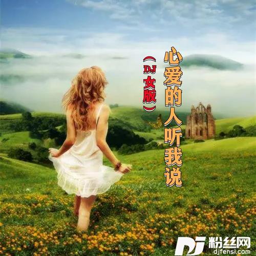 心爱的人听我说DJ