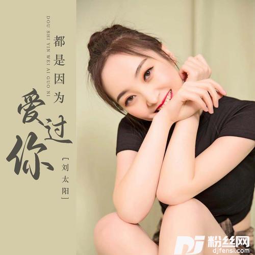 都是因为爱过你DJ默涵版