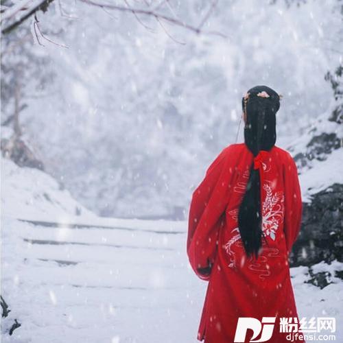 -爱的暴风雨DJ版的专辑