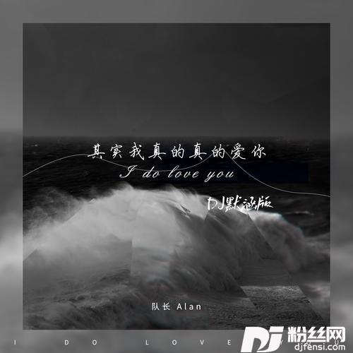 其实我真的真的爱你DJ默涵版