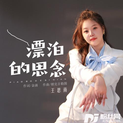 漂泊的思念的专辑