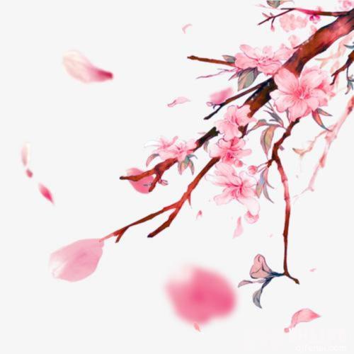 X8飞曲抖音热播完整版