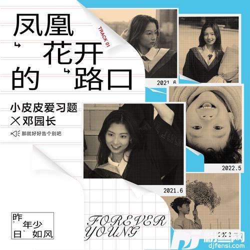 凤凰花开的路口的专辑