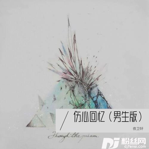 伤心回忆cover:张亚利