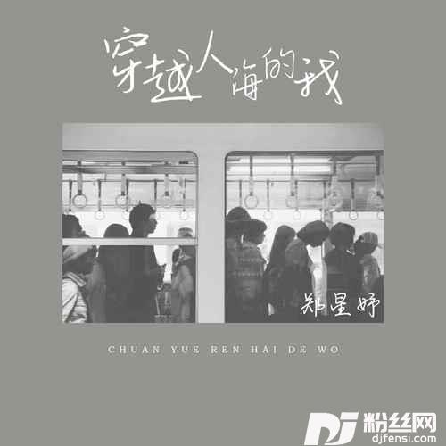 穿越人海的我