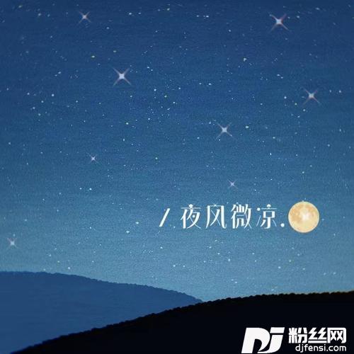 夜风微凉的专辑