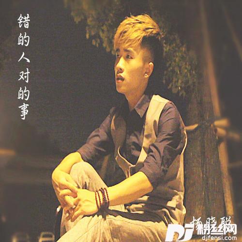 雁回声的专辑