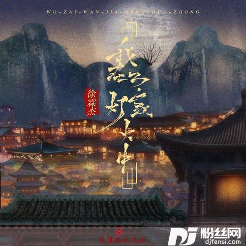 我在万家灯火中