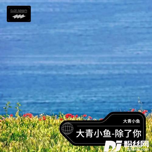 除了你cover:张朋娜