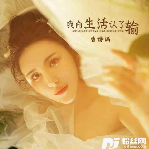 我向生活认了输