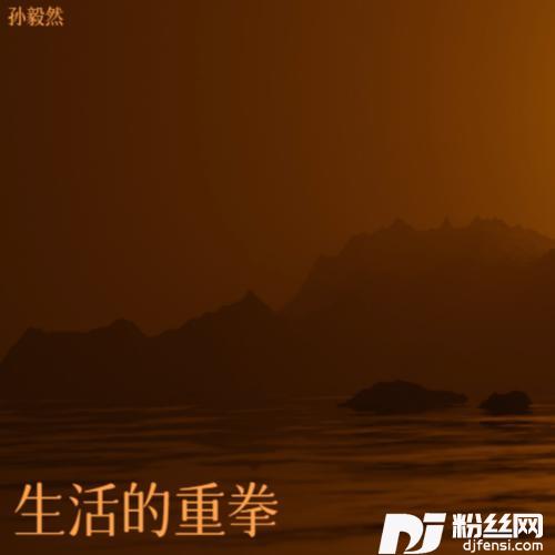 生活的重拳合唱版的专辑